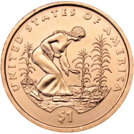 Монета США 1 доллар 2009 год - Индианка, выращивающая «трёх сестёр» (P)