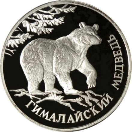 Монета Россия 1 рубль 1994 год - Гималайский медведь