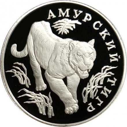 Монета Россия 1 рубль 1993 год - Красная Книга. Амурский тигр