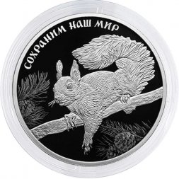 Россия 3 рубля 2023 год - Сохраним наш мир. Белка обыкновенная