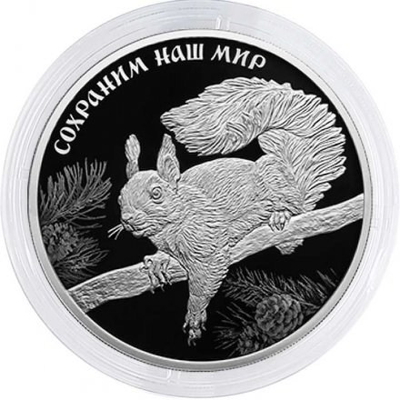 Россия 3 рубля 2023 год - Сохраним наш мир. Белка обыкновенная