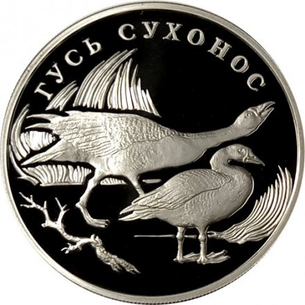 Монета Красная книга. Гусь сухонос - 1 рубль - СПМД - 2006 год