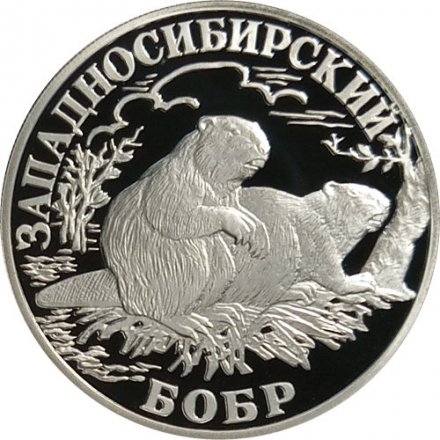 Монета Красная книга. Западносибирский бобр - 1 рубль - СПМД - 2001 год
