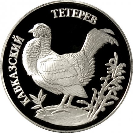 Монета Россия 1 рубль 1995 год - Кавказский тетерев