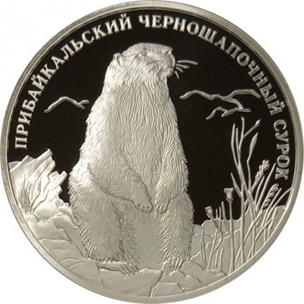Монета Красная книга. Прибайкальский Черношапочный сурок - 2 рубля - СПМД - 2008 год
